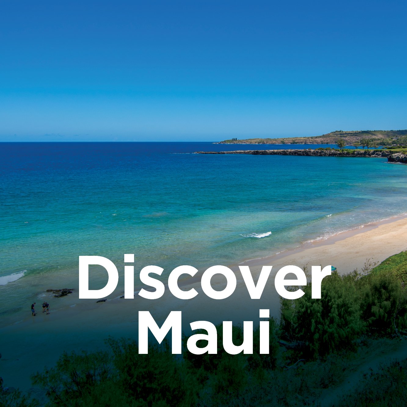 Discover Maui