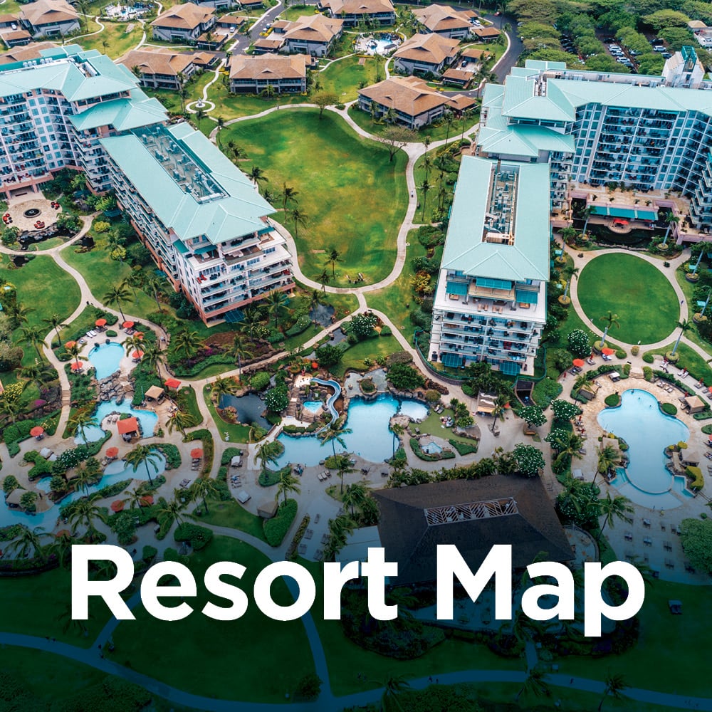 Resort Map