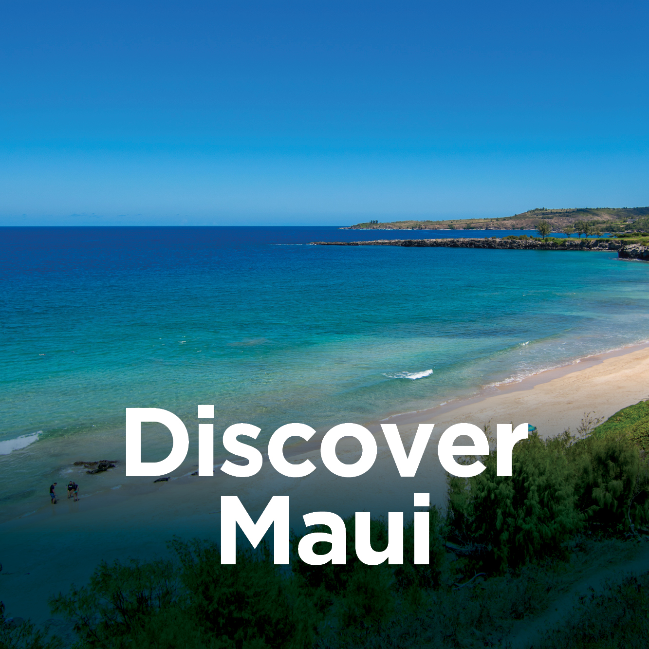 Discover Maui
